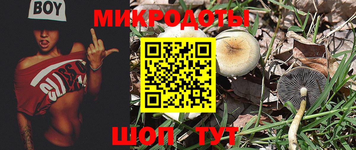 Кашира  Галлюциногенные грибы мицелий  Вход с VPN 